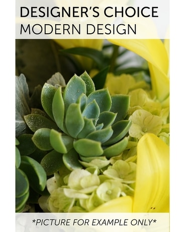 Designer's Choice - Modern Design